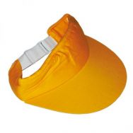 Sun Visor