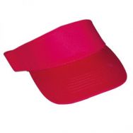 Sun Visor