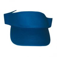 Sun Visor
