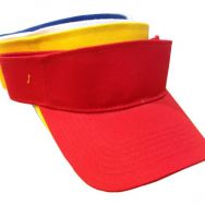 Sun Visor